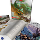 Image for article titled The new Dungeons & Dragons is more streamlined but no less of a challenge